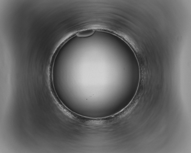 X0000116641134200912141230