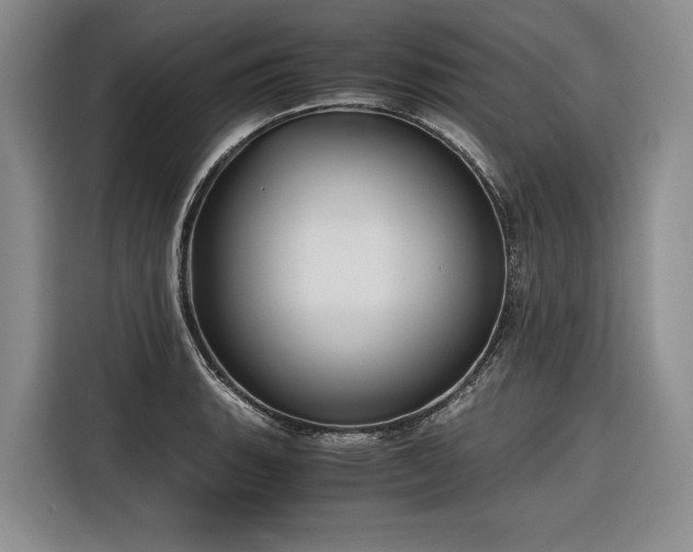 X0000116641135200912141230