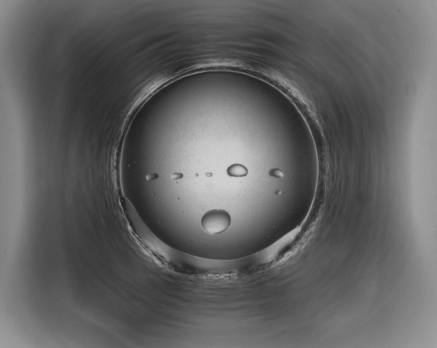 X0000116641137200912141230