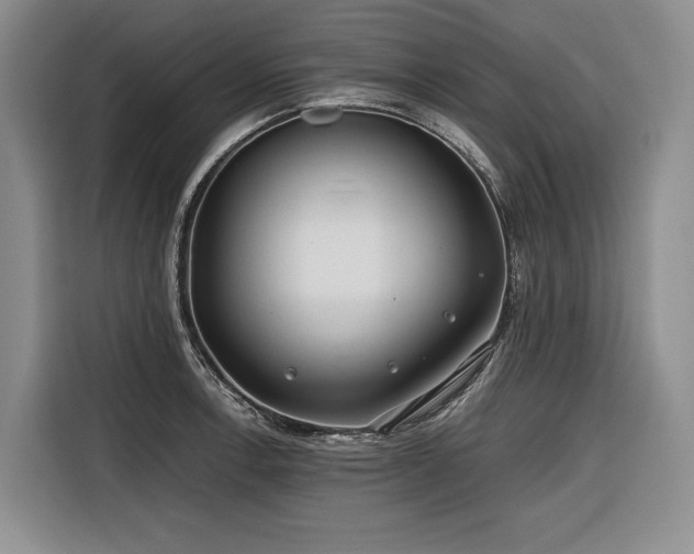 X0000116641138200912141230