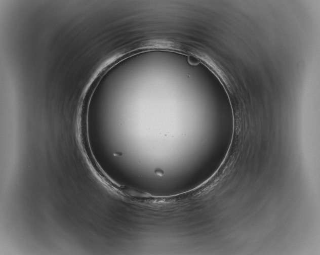 X0000116641139200912141230