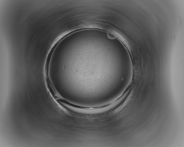 X0000116641141200912141230