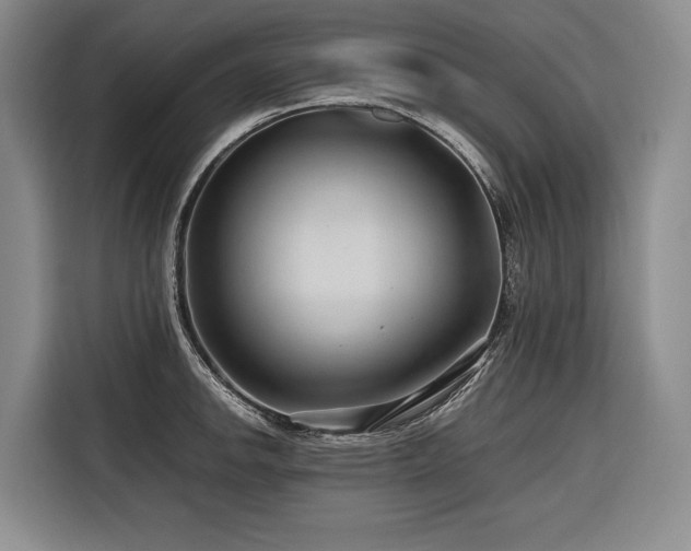 X0000116641142200912141230