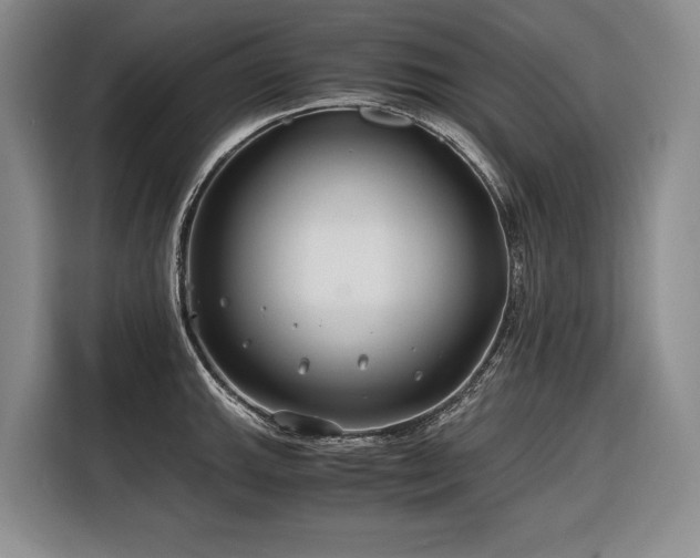 X0000116641143200912141230