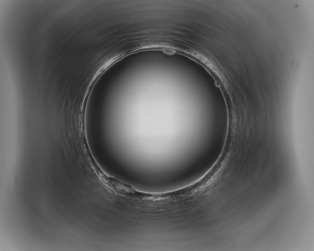 X0000116641145200912141230