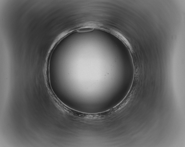 X0000116641146200912141230