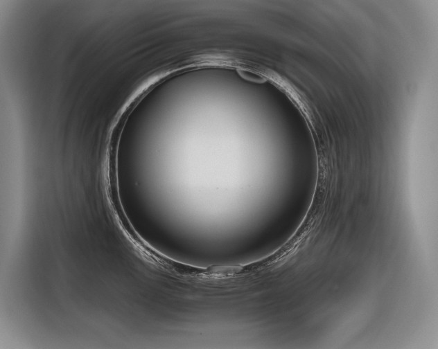 X0000116641147200912141230