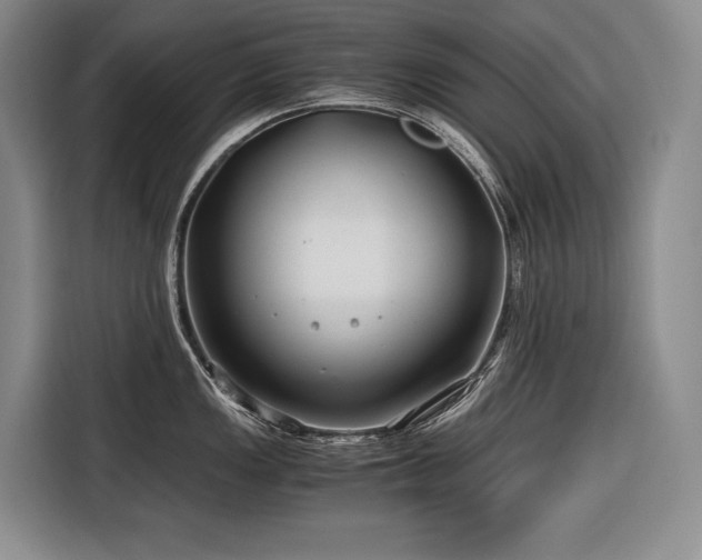 X0000116641149200912141230