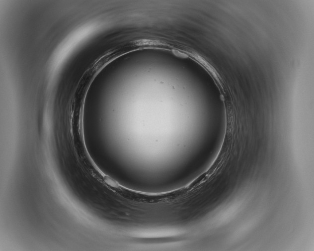 X0000116641151200912141230