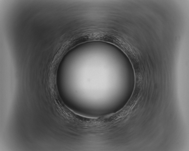 X0000116641153200912141230