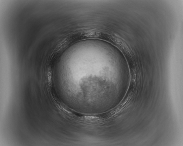 X0000116641154200912141230