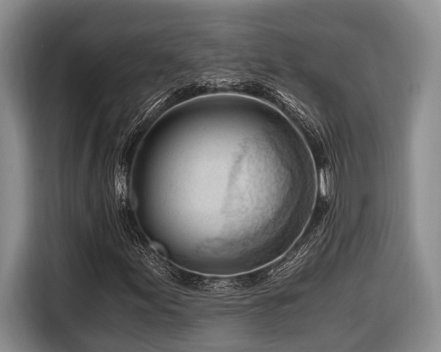 X0000116641155200912141230