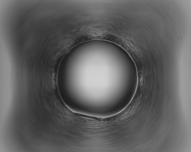 X0000116641156200912141230