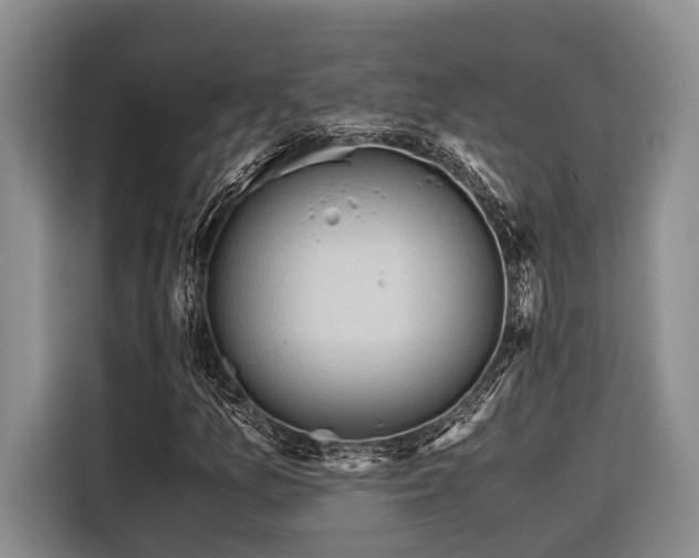 X0000116641157200912141230