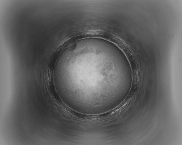 X0000116641158200912141230