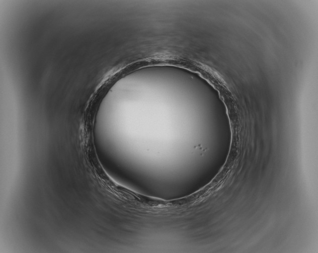 X0000116641160200912141229