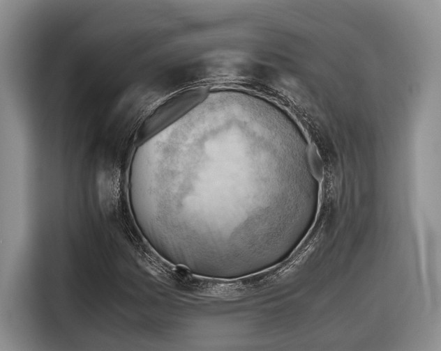 X0000116641161200912141229