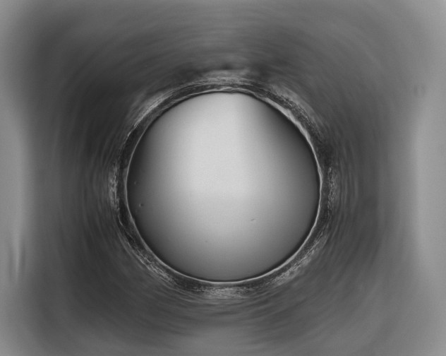 X0000116641162200912141229