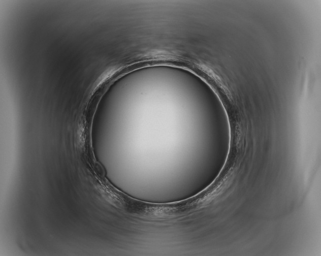 X0000116641163200912141229