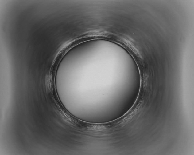 X0000116641164200912141229