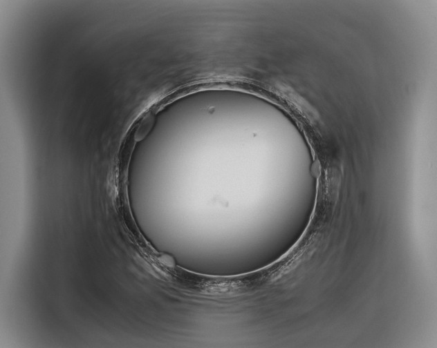 X0000116641165200912141229