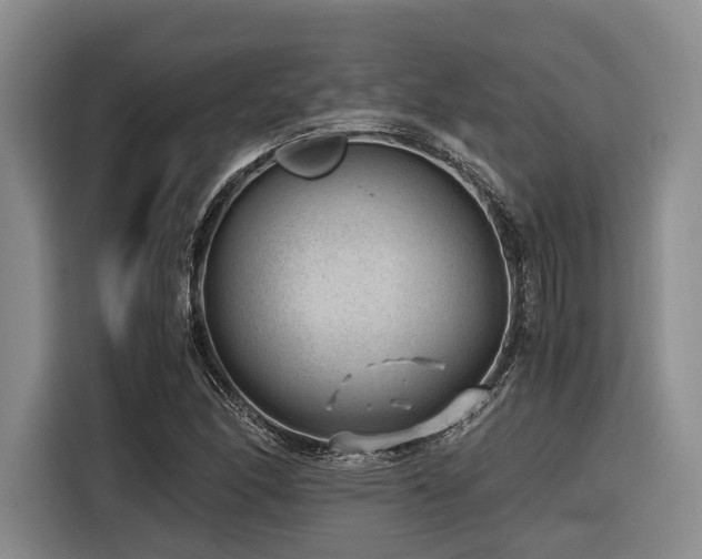 X0000116641166200912141229