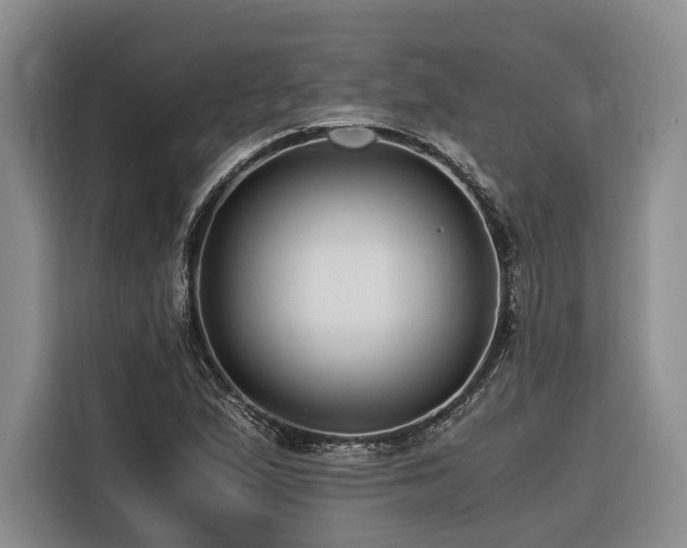 X0000116641167200912141229