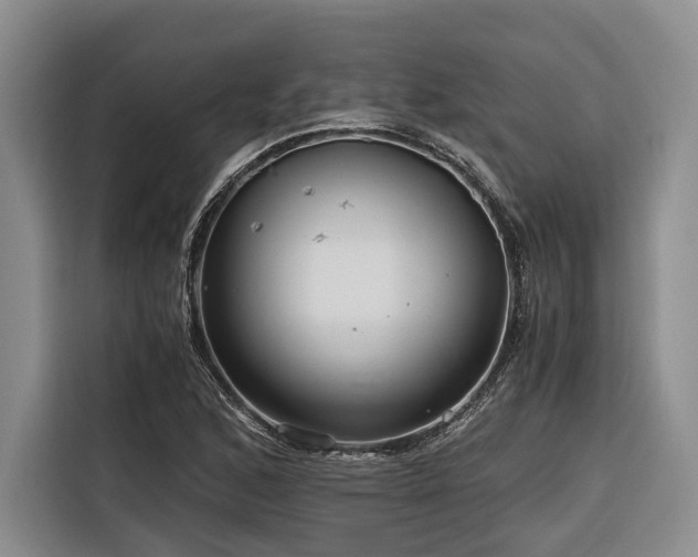 X0000116641168200912141229