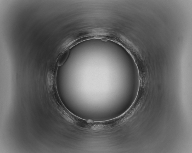 X0000116641169200912141229