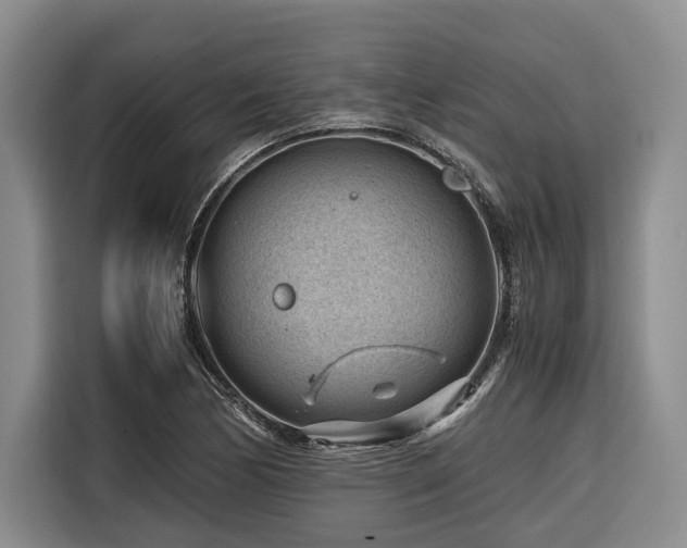 X0000116641170200912141229