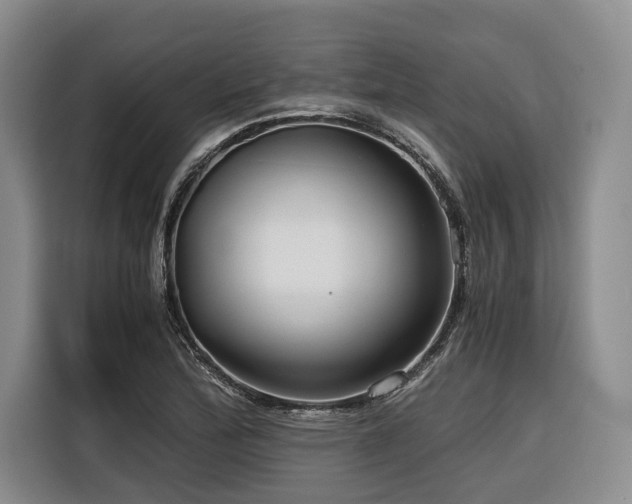 X0000116641172200912141229