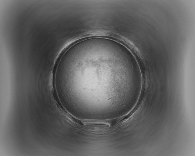 X0000116641174200912141229