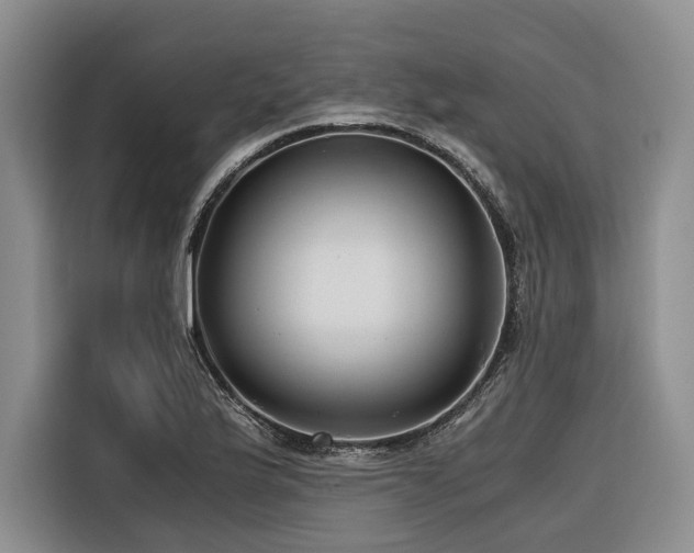 X0000116641175200912141229