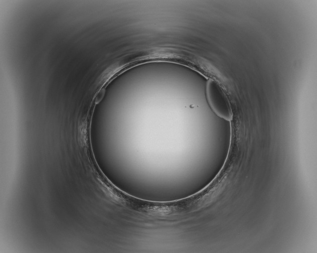 X0000116641177200912141229