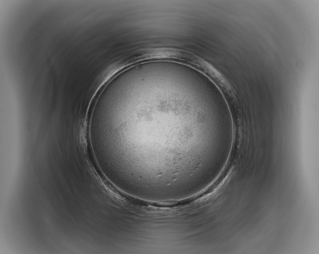 X0000116641178200912141229