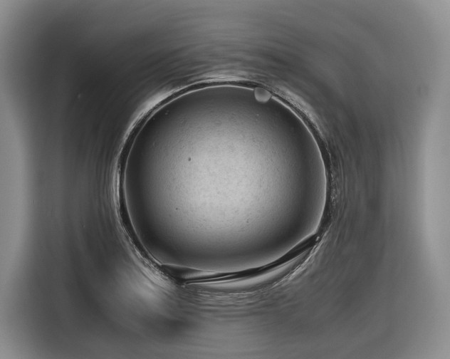 X0000116641179200912141229