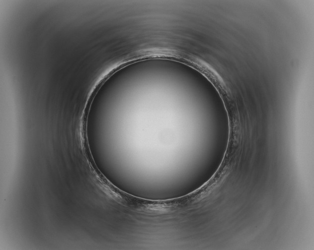 X0000116641182200912141229