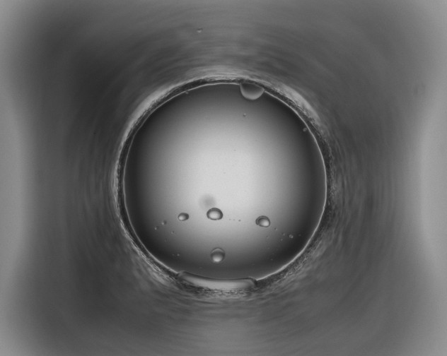 X0000116641183200912141229