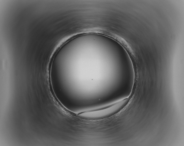 X0000116641184200912141229