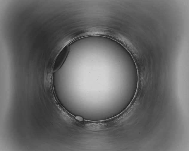 X0000116641185200912141229