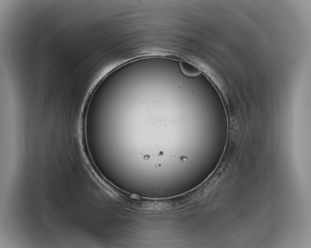 X0000116641187200912141229