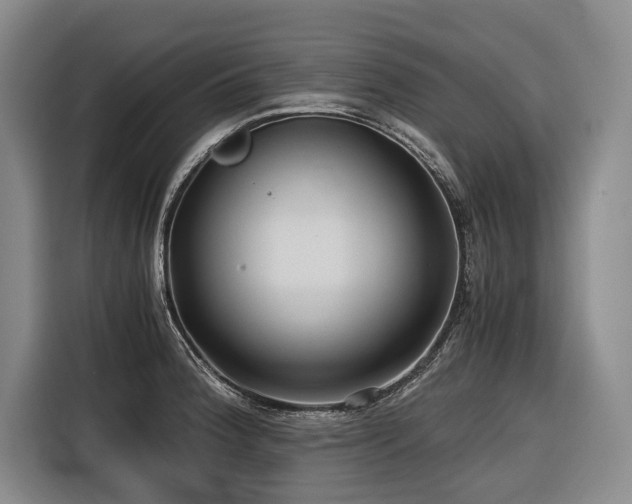 X0000116641188200912141229