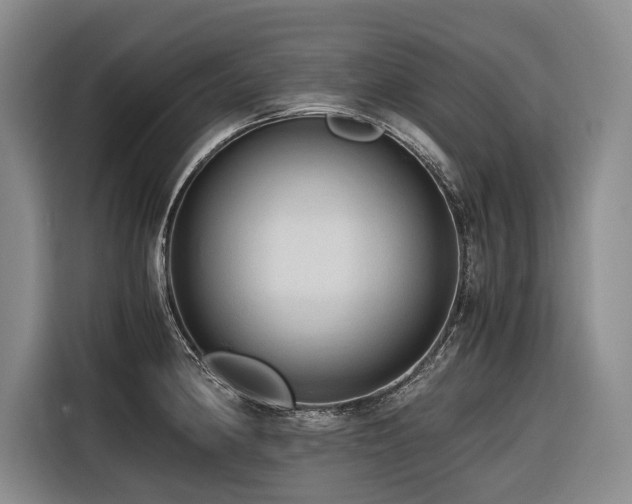 X0000116641190200912141229