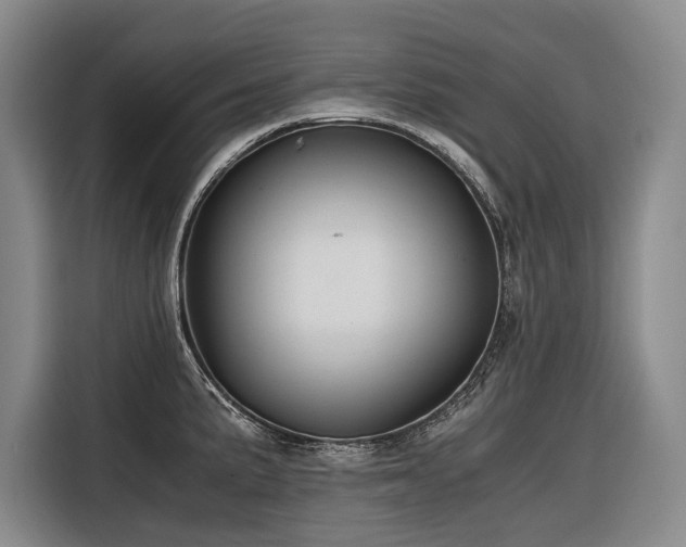 X0000116641191200912141229