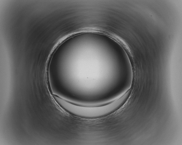 X0000116641192200912141229