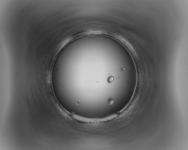 X0000116641193200912141229