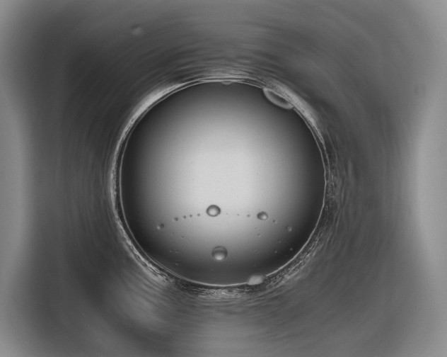 X0000116641195200912141229