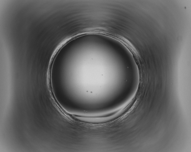 X0000116641196200912141229