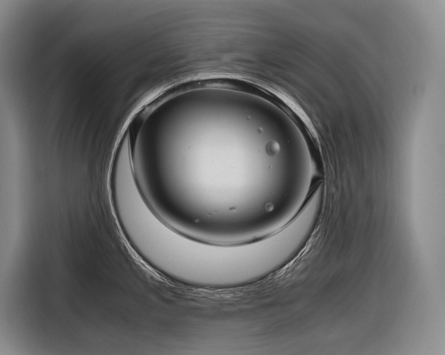 X0000116641197200912141229