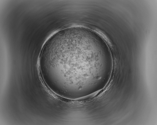 X0000116641198200912141229